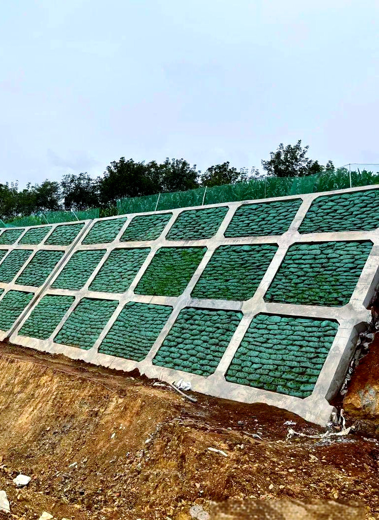 连云港东海县框格梁支护